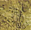 wpb529b808.png